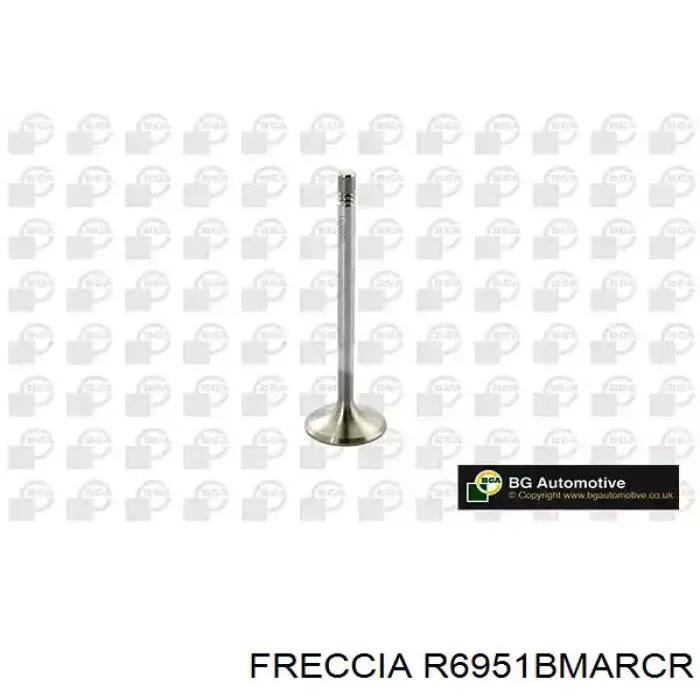 R6951BMARCR Freccia клапан выпускной