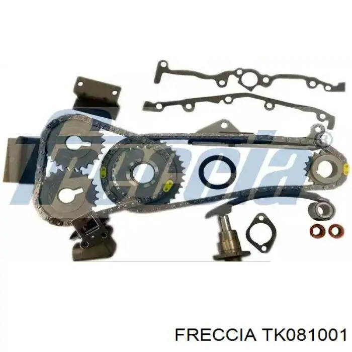 TK08-1001 Freccia cadeia do mecanismo de distribuição de gás, kit