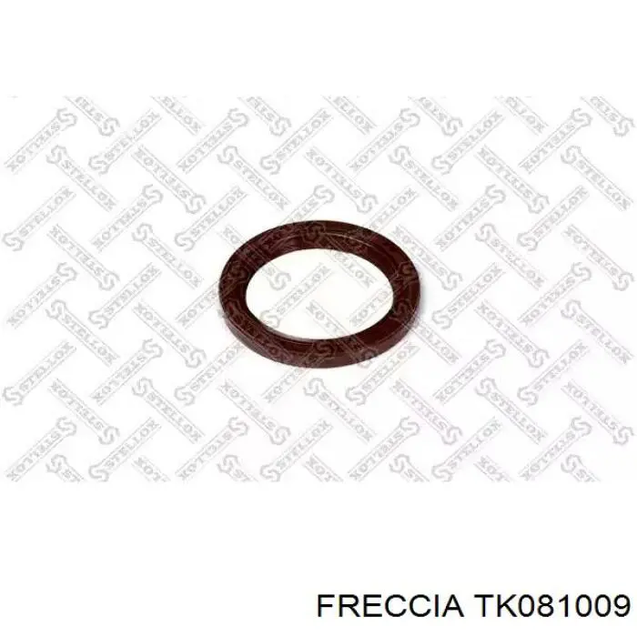 Цепь ГРМ, комплект Freccia TK081009
