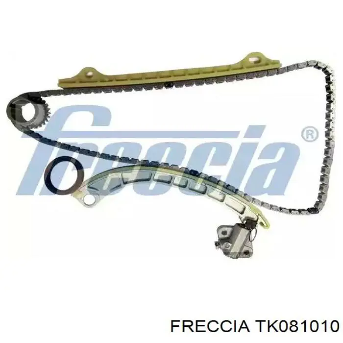 TK081010 Freccia cadeia do mecanismo de distribuição de gás, kit