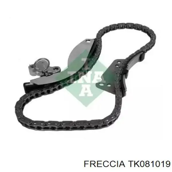 Комплект цепи ГРМ TK081019 Freccia