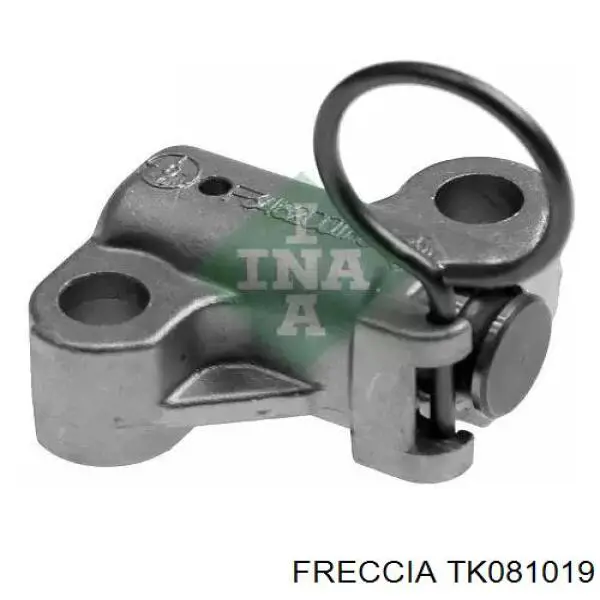 Цепь ГРМ, комплект Freccia TK081019