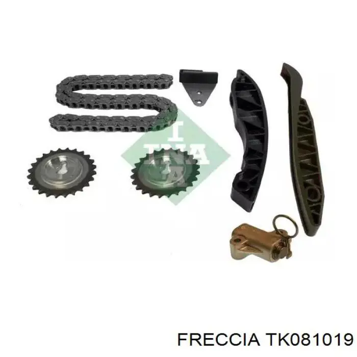 Купить TK081019 Freccia Набор цепи грм