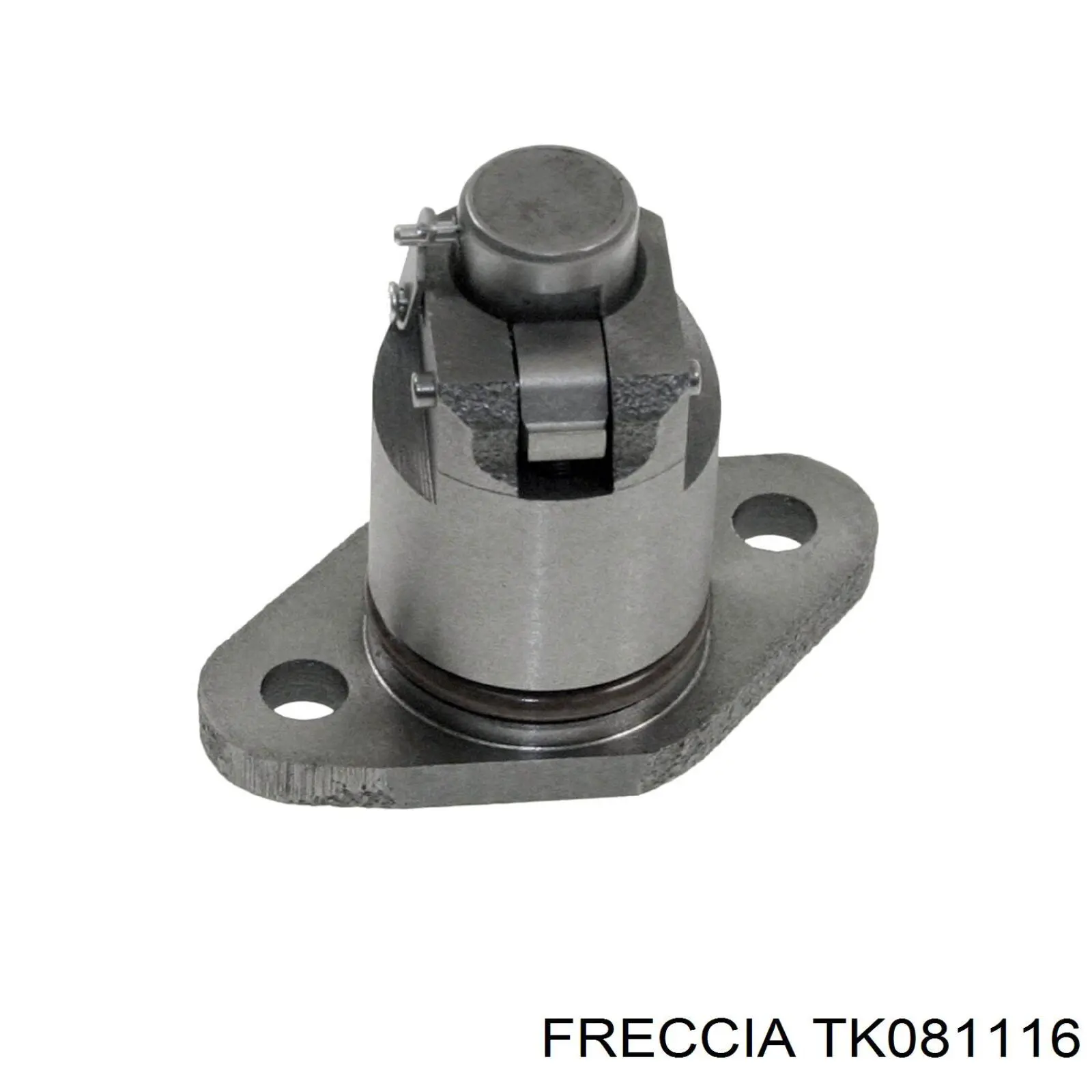 Комплект цепи ГРМ TK081116 Freccia