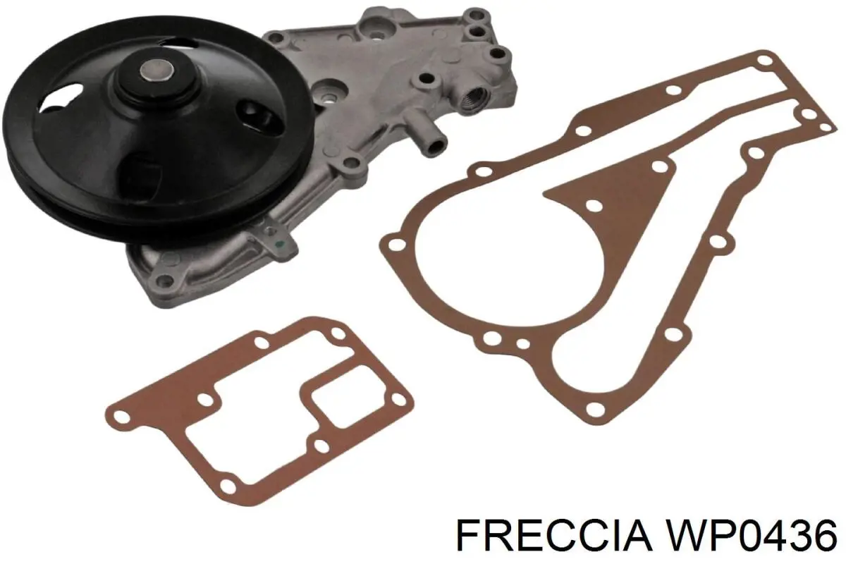 WP0436 Freccia