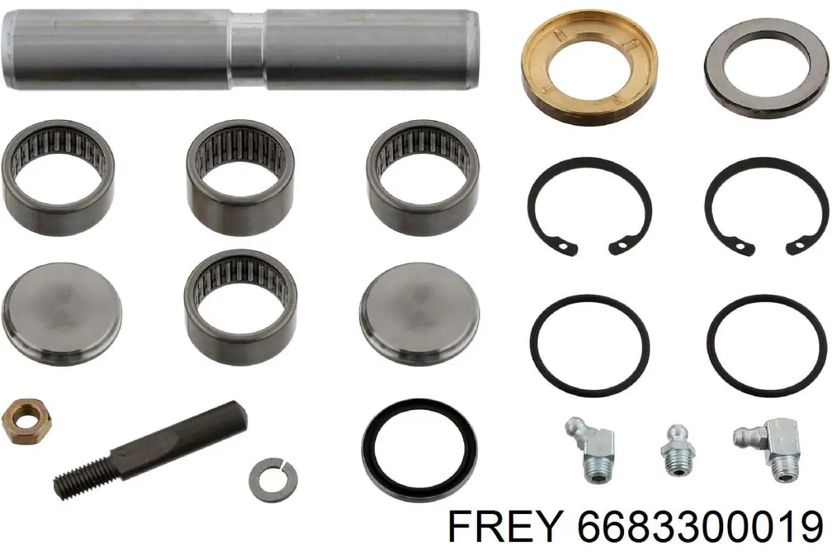 6683300019 Frey Ремкомплект шкворня поворотного кулака