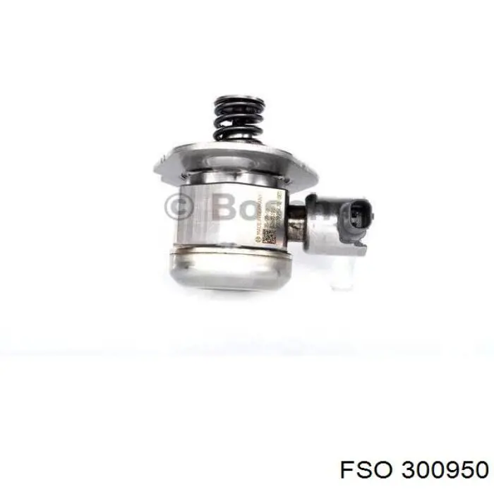 300950 FSO 