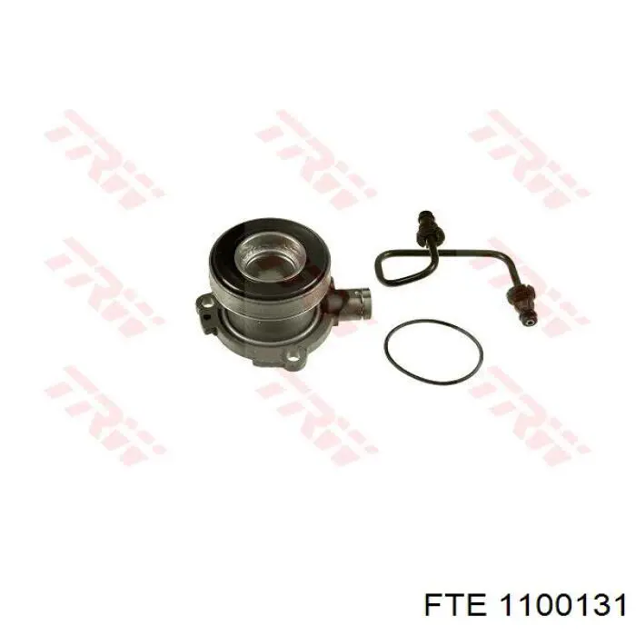 1100131 FTE