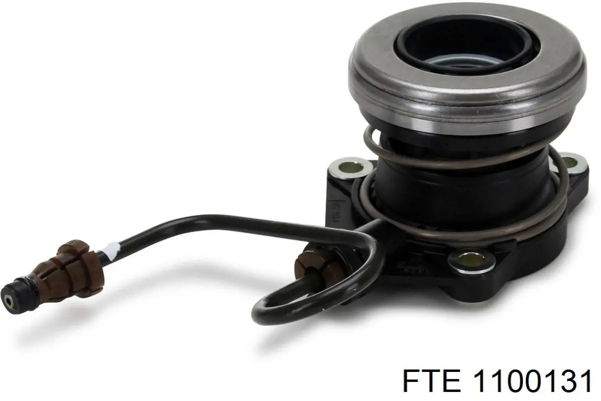 1100131 FTE