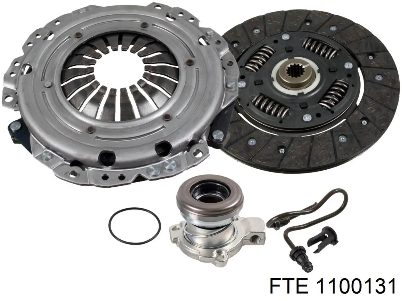 1100131 FTE