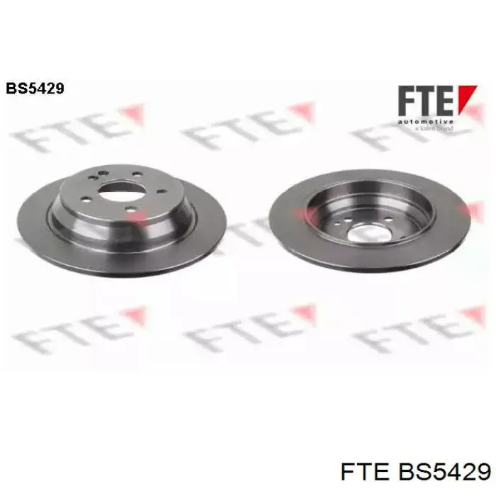 BS5429 FTE Дисковый тормоз