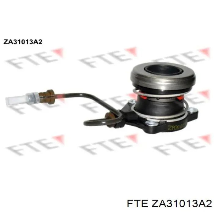 ZA31013A2 FTE