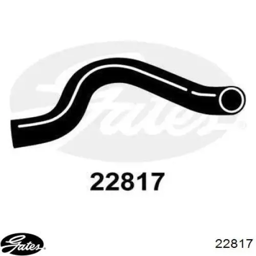 Шланг радиатора охлаждения Sasic 3406441 цена, от 13.05 USD