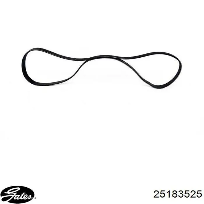25183525 Gates