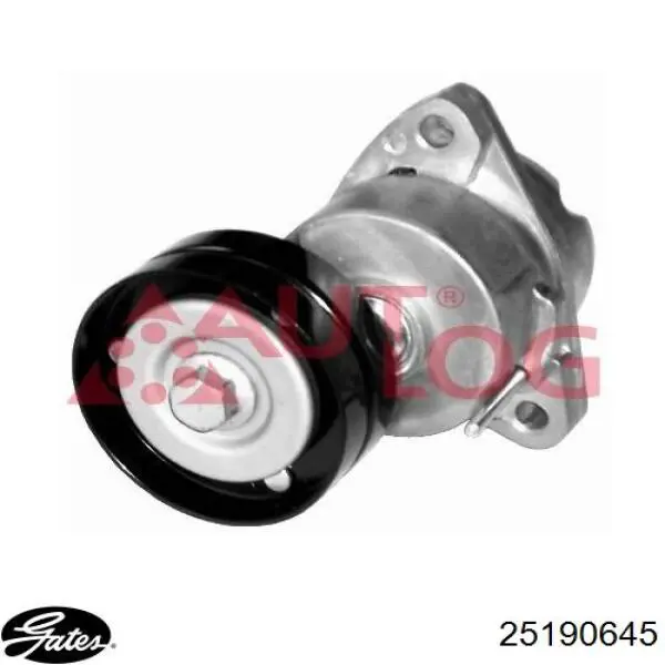Роликовий модуль натяжителя ремня Starline RSX00001P цена, от 13.25 USD