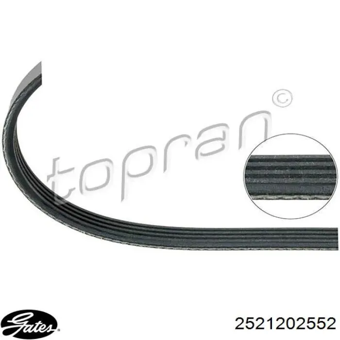 MD163032 Chrysler Поликлиновый ремень