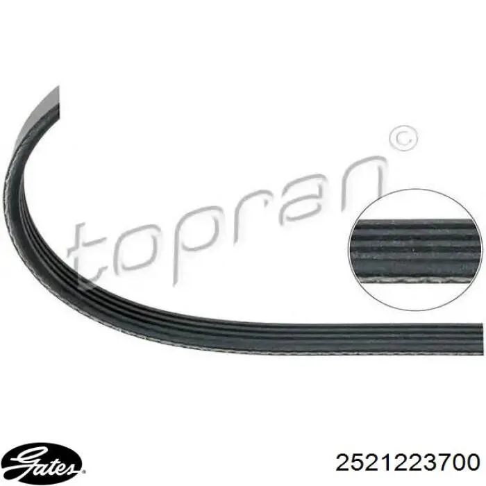 Клиновый ремень Gates 2521223700 цена, от 5.63 USD