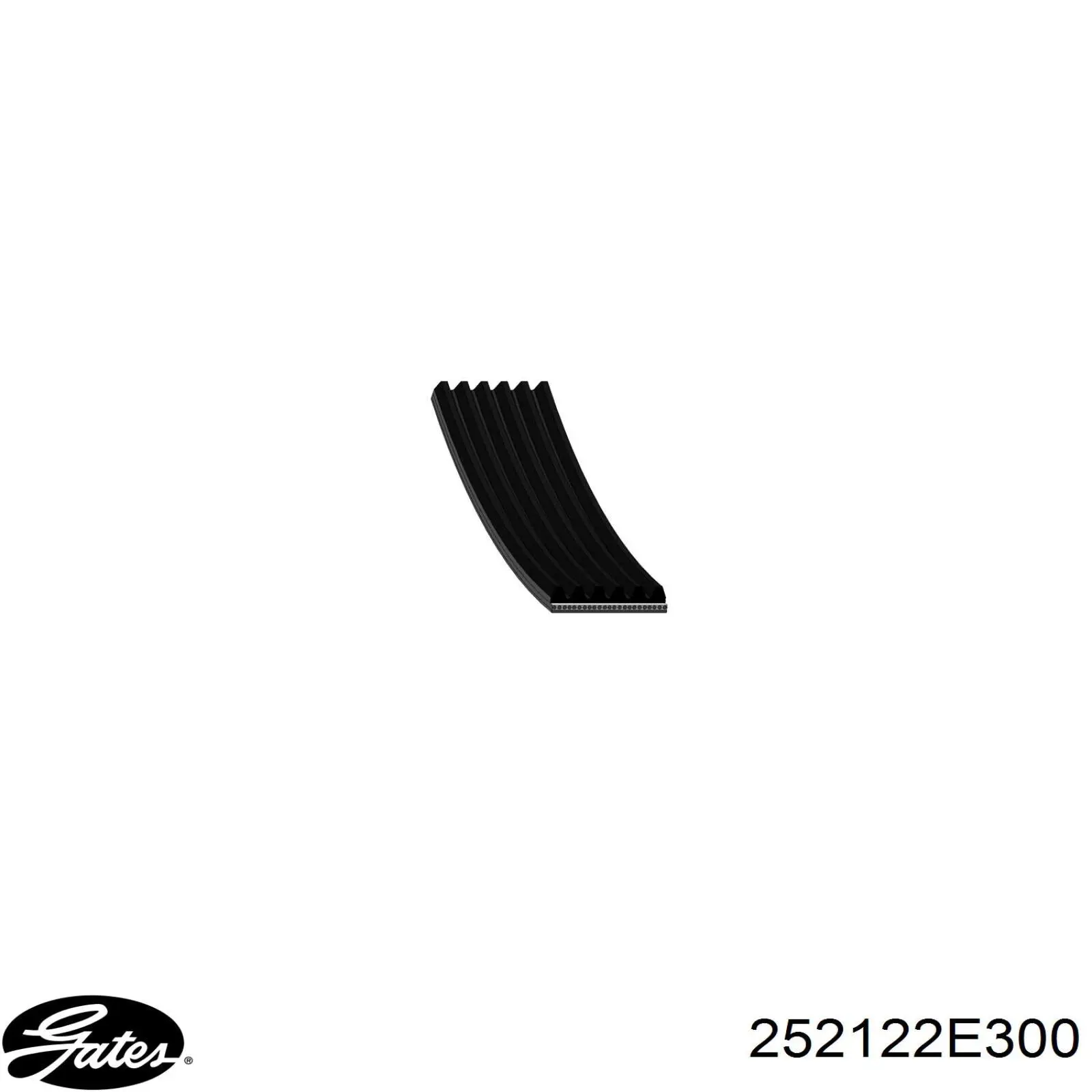 Купить 252122E300 Gates Ремень генератора