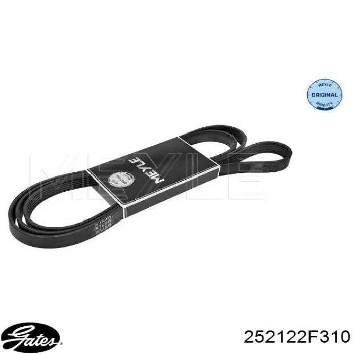 Клиновый ремень Gates 252122F310 цена, от 24.61 USD