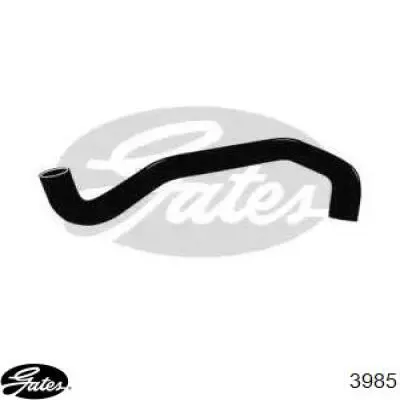 Купить 3985 Gates Шланг радиатора охлаждения нижний