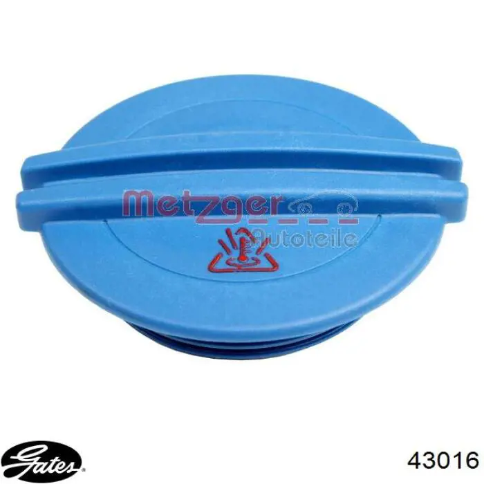 Купить 2414009 Ford Насос охлаждения
