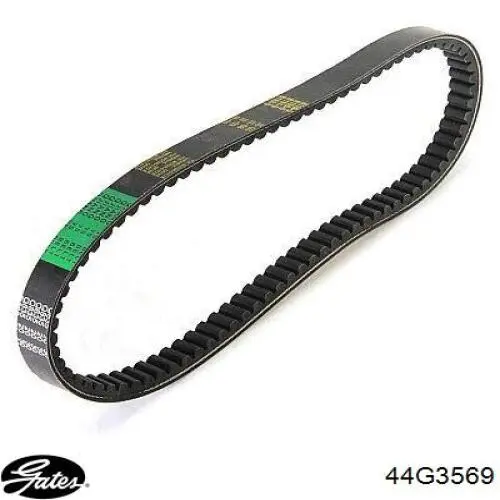 44G3569 Gates 