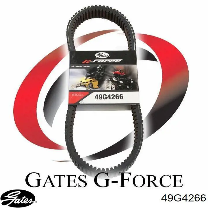 Купить 49G4266 Gates 
