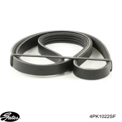 Клиновый ремень Gates 4PK1022SF цена, от 11.45 USD