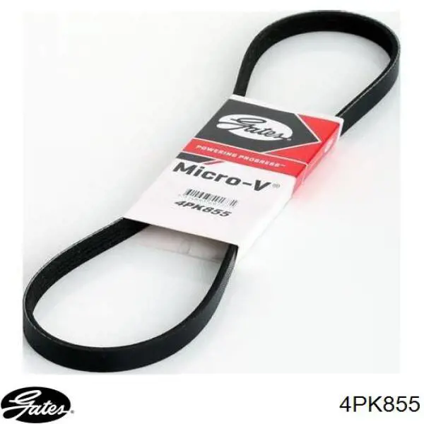 4PK855 Gates Поликлиновый ремень