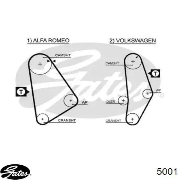 Ремень ГРМ на Alfa Romeo Spider 105
