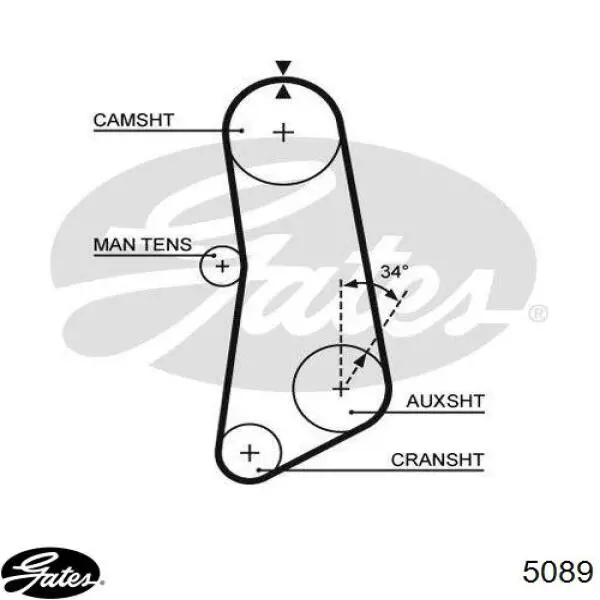 Ремень ГРМ 5889253 Fiat/Alfa/Lancia