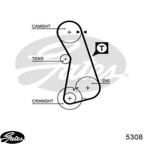 Correa distribucion 5308 Gates