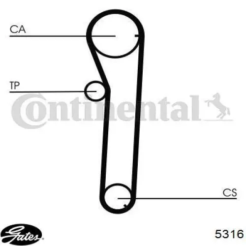 CT817 Continental/Siemens Ремень двигателя