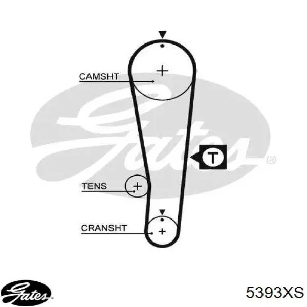 Correa distribucion 5393XS Gates