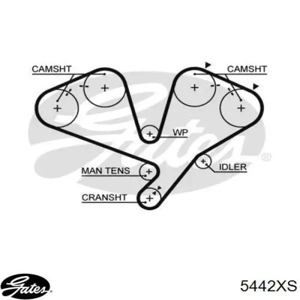 5442 Gates Ремень двигателя