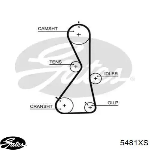 Зубчатый ремень Gates 5481XS цена, от 27.08 USD