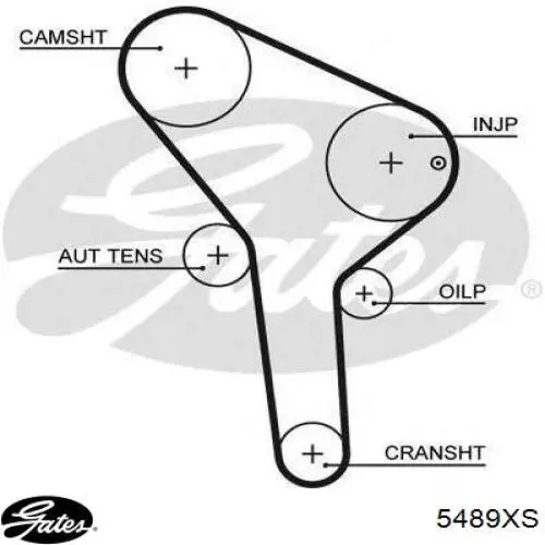 Ремень ГРМ AMDBL411 AMD