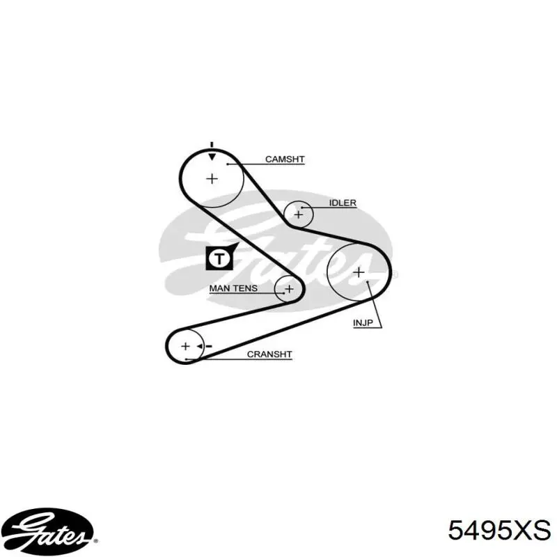 Correa distribucion 5495XS Gates