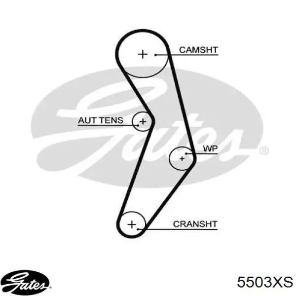 Ремень ГРМ 5503XS Gates