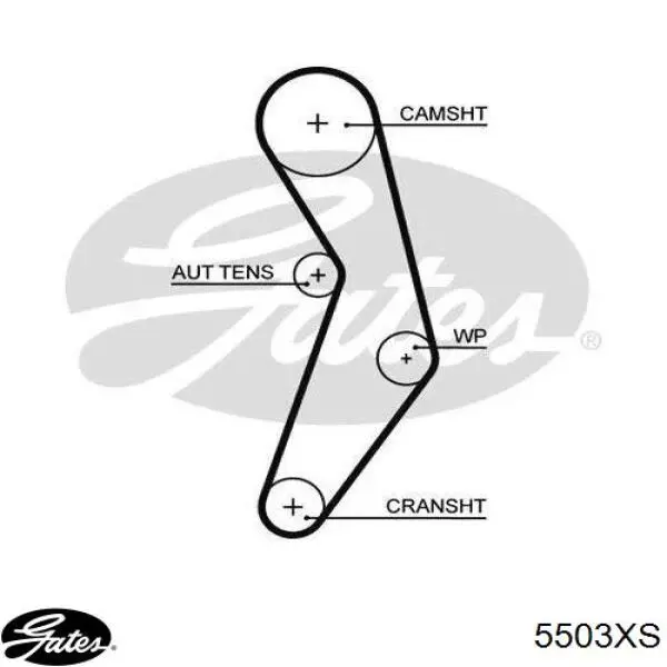 Correia do mecanismo de distribuição de gás Gates 5503XS preço, a partir de 17,40 USD