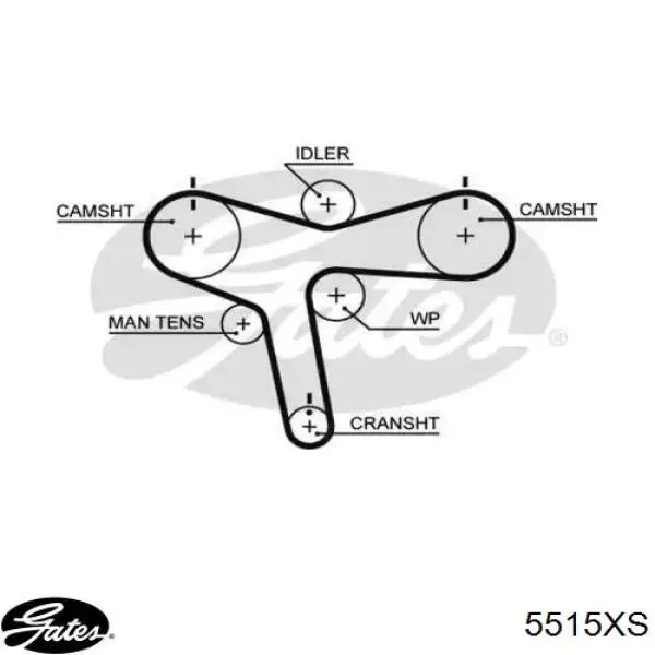 Correa distribucion 5515XS Gates