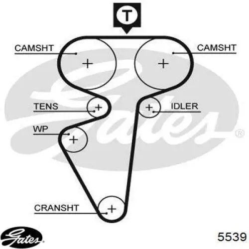 5539 Gates