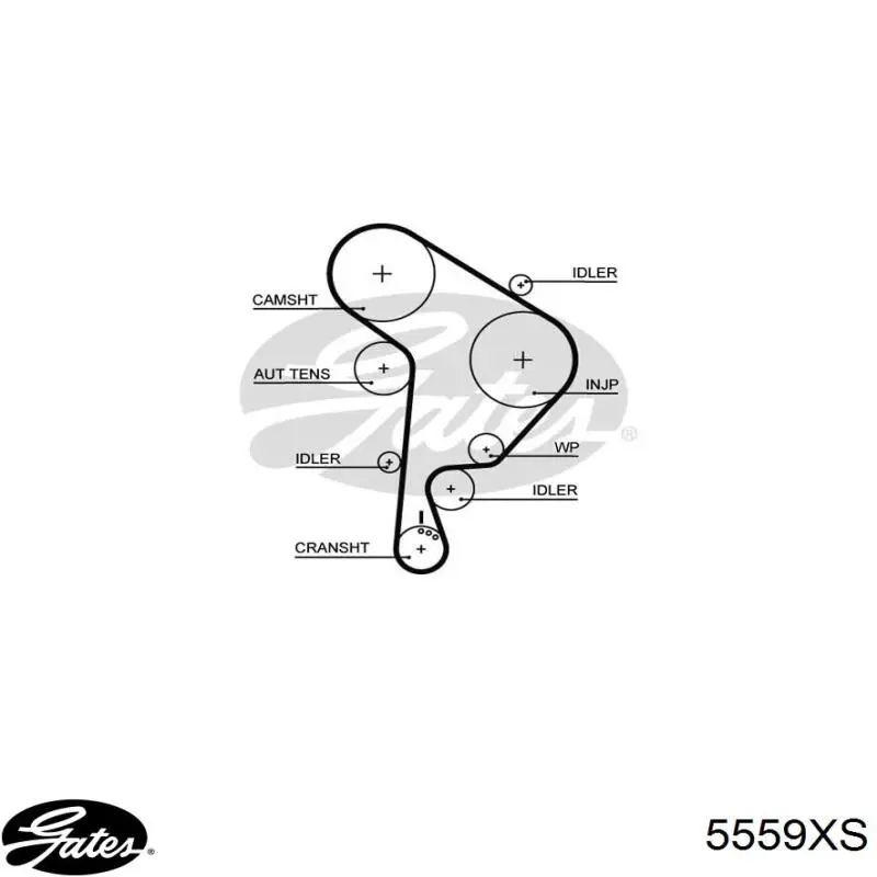 Зубчатый ремень Gates 5559XS цена, от 30.44 USD