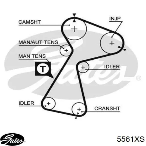 Ремінь ГРМ 5561XS Gates