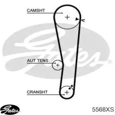 Correa distribucion 5568XS Gates