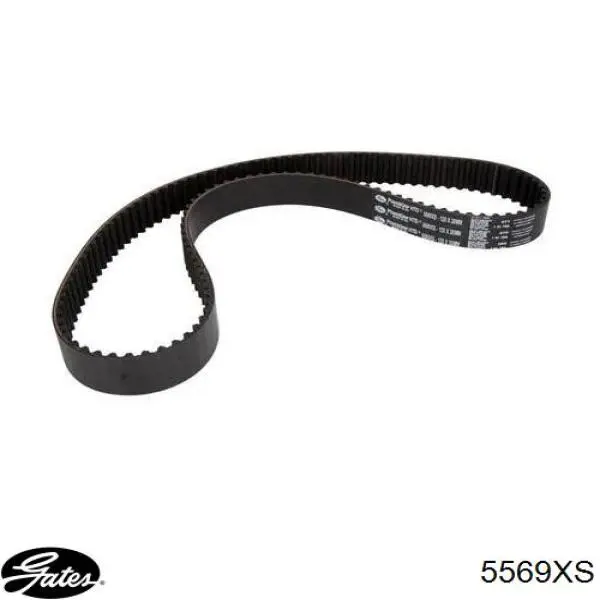 ГРМ ремни Ford XM216268BA