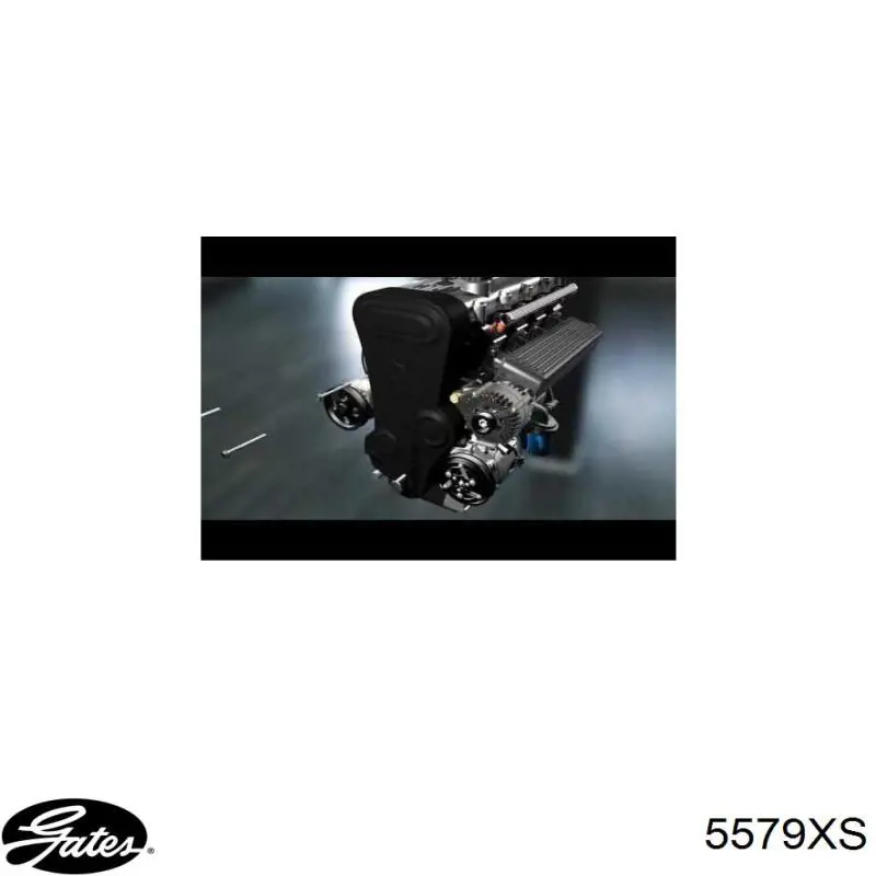 Зубчатый ремень Gates 5579XS цена, от 20.15 USD