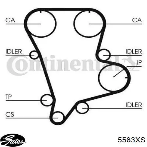 Correa distribucion 5583XS Gates