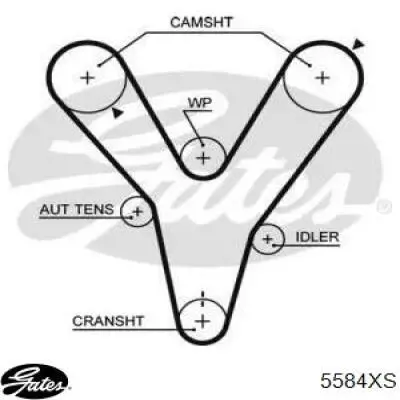 Ремень ГРМ 5584XS Gates