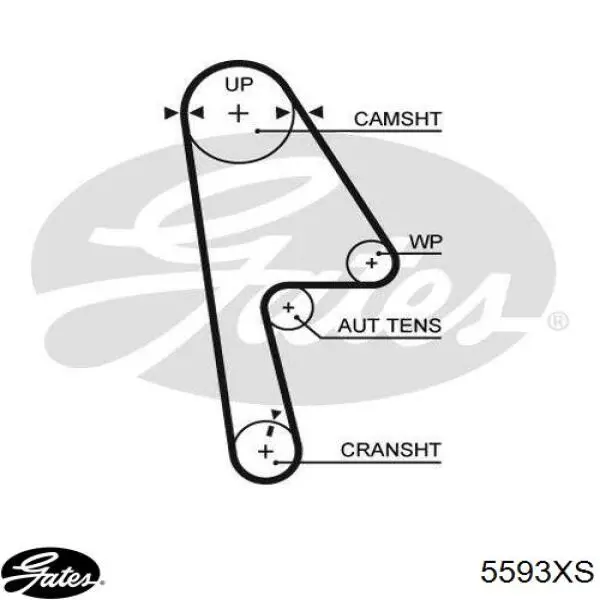 5593XS Gates ремень грм